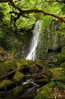Matai Falls, Catlins, South Otago, South Island, New Zealand Fine Art Print