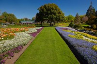Pollard Park, Blenheim, Marlborough, New Zealand by David Wall - various sizes