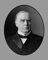 President William McKinley, Jr Fine Art Print