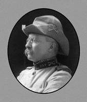 Colonel Theodore Roosevelt (side profile) Fine Art Print