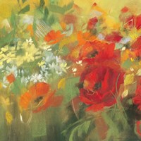 Oriental Poppy Field II Fine Art Print