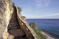 1,000 Steps Limestone Stairway in Cliff, Bonaire, Caribbean Fine Art Print