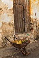 Bananas in wheelbarrow, Havana, Cuba Fine Art Print