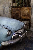 Front of 1950's era car in front of gate, Havana, Cuba Fine Art Print