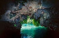 Bat Cave in Airai, Palau, Micronesia by Ali Kabas - various sizes