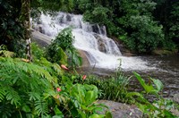 Rainforest waterfall, Serra da Bocaina NP, Parati, Brazil (horizontal) Fine Art Print