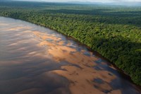 Essequibo River, between the Orinoco and Amazon, Iwokrama Reserve, Guyana Fine Art Print