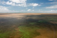 Brazil, Amazon River, Algae bloom Fine Art Print