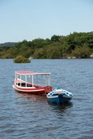 Fishing boats, Amazon, Brazil Fine Art Print