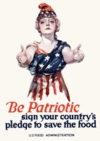 Be Patriotic by John Parrot - various sizes, FulcrumGallery.com brand