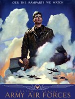 United States Army Air Forces Fine Art Print
