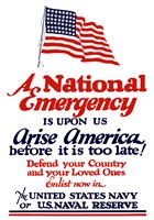 A National emergency, Arise America Fine Art Print
