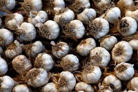 Cuba, Santa Clara Garlic Cloves for sale in a local street market Fine Art Print