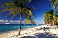 Tropical Beach on Isla de la Juventud, Cuba Fine Art Print