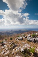 Cuba, Trinidad, Topes de Collantes park Fine Art Print