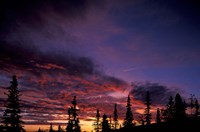 Solstice Sunset atop Midnight Dome, Dawson City, Yukon, Canada Fine Art Print