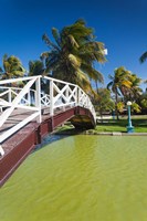 Cuba, Matanzas, Varadero, Parque Josone park bridge Fine Art Print