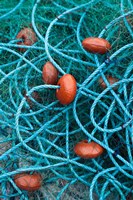 Dominica, Anse de Mai, fishing net Fine Art Print