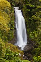 Dominica, Roseau, Trafalgar Waterfalls Fine Art Print
