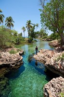 Alligator Hole, Black River Town, Jamaica, Caribbean by Greg Johnston - various sizes