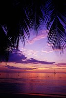 Sunset on the beach, Negril, Jamaica, Caribbean Fine Art Print