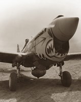 Vintage World War Two P-40 Warhawk Fine Art Print