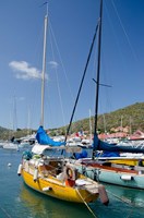 Colorful boats, Gustavia, Shell Beach, St Bart's, West Indies Fine Art Print