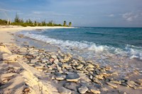 Waves, Coral, Beach, Punta Arena, Mona, Puerto Rico Fine Art Print