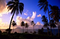 Coastline, St Kitts Fine Art Print