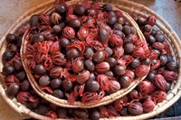 Nutmeg in Public Market, Castries, Caribbean Fine Art Print