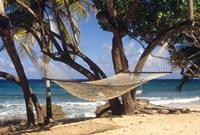 Hammock tied between trees, North Shore beach, St Croix, US Virgin Islands Fine Art Print