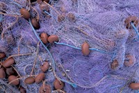 Fishing Nets on Grand Anse, Martinique, Caribbean Fine Art Print