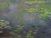 Waterlilies (green with blue) Fine Art Print