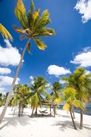 Southern Cross Club, Little Cayman, Cayman Islands, Caribbean Fine Art Print