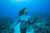 Cayman Islands, Mermaid statue, coral reef Fine Art Print