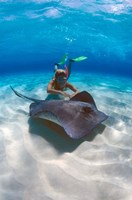 Stingray City, Grand Cayman, Cayman Islands, Caribbean Fine Art Print