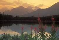 Alberta, Banff, Lake Herbert, Canadian Rockies by Jaynes Gallery - various sizes