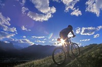 Mountain Biker at Sunset, Canmore, Alberta, Canada Fine Art Print