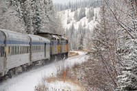 Via Rail Snow Train Between Edmonton & Jasper, Alberta, Canada Fine Art Print