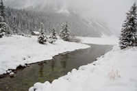 Winter Views Around Lake Louise, Alberta, Canada Fine Art Print