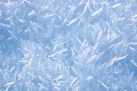 Detail of Winter Snow Fine Art Print