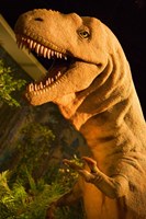 Royal Tyrrell Museum of Palaeontology, Drumheller, Alberta, Canada Fine Art Print