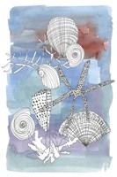 Sea Shell I by Katrien Soeffers - 8" x 12"