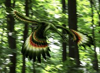Archaeopteryx flying through a forest Fine Art Print