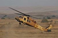 An UH-60L Yanshuf helicopter of the Israeli Air Force Fine Art Print