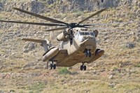 A CH-53 Yasur 2000 of the Israeli Air Force landing in the field Fine Art Print