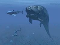 A prehistoric Dunkleosteus fish prepares to eat a primitive shark Fine Art Print