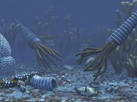 Squid-like Orthoceratites attempt to make meals of trilobites Fine Art Print