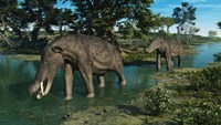 A pair of Platybelodon grazing in a shallow stream Fine Art Print