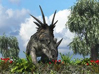 A Styracosaurus samples flowers of the order Ericales Fine Art Print
